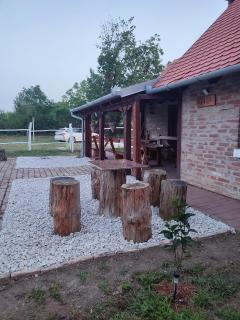 Glas house Aljmaš - 6