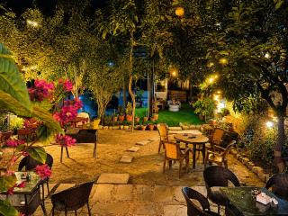 Birds Nest Hostel - 8