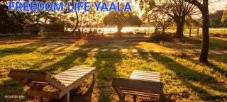 Freedom Life Yala - 3