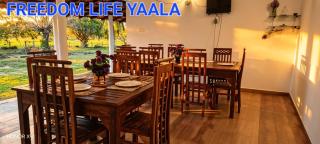 Freedom Life Yala - 4