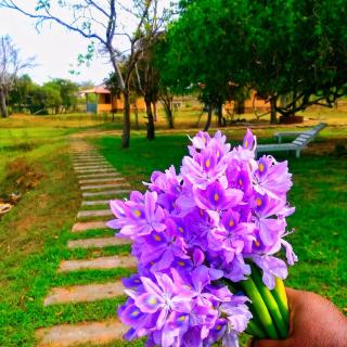 Freedom Life Yala - 5