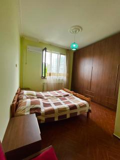 Green House - 8