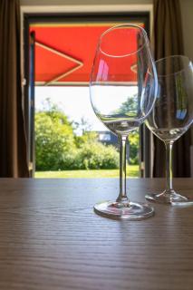 Relax on vacation in comfortable holiday home - Ewijk - 1