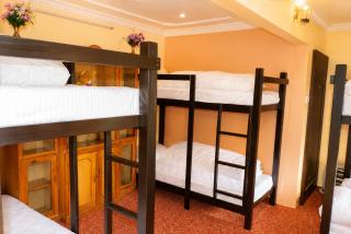 Birds Nest Hostel - 4