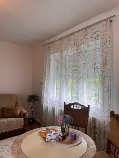 Family Nest Solotvino - 4