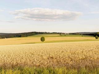 Bantlehof - 2