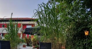 'Schlabecks - Fränkischer Hof' - - - Garni-Hotel-Pegnitz - 7