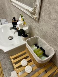 Sofia Residence Studio Cetate - 5