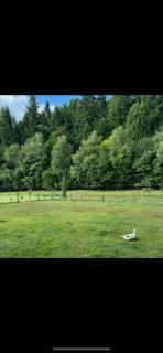 Athol Country Bed & Breakfast - Premium Quality Private Guest Wing - 1