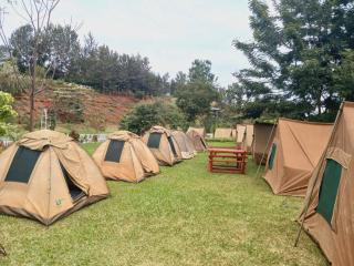 Mimosa Park and Island Camp Sagana - 3