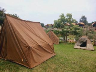 Mimosa Park and Island Camp Sagana - 6
