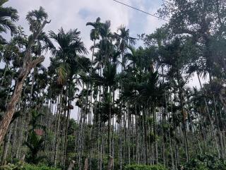 Samruddhi Farm House - 1