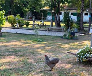 Gîte Maelga - 3