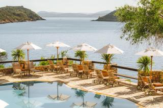 Il Pellicano - 5
