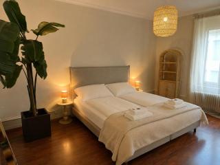Stylish old building - Parking - 16 minutes to Zurich - 0