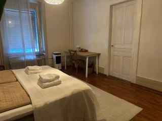 Stylish old building - Parking - 16 minutes to Zurich - 5