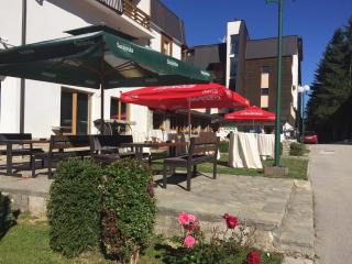 Apartments WinterSport - Vlasic - 3