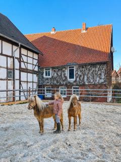 Alpakahof - Familienbett, Spielgarten & Tiere - 7