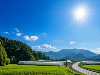 Farm Stay うめむら農園 - 9