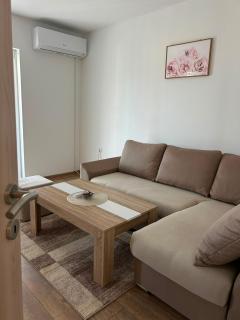 Apartman Šarenac - 4