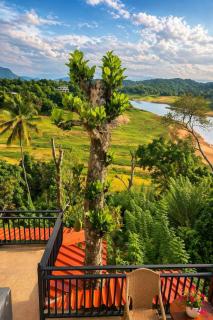 The Don Dock Kandy - 7