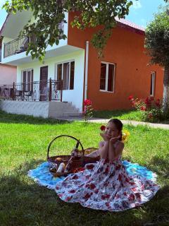 cottage in tsemi (Borjomi) - 8