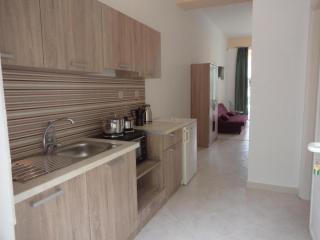 katerina apartments near the sea 2 - 7