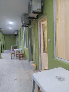 Green house - 1