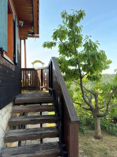 Cozy Winehouse - Remote Vineyard Escape - Podčetrtek - 8