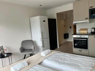 Luxury Balcony River View apt - Heart of Voss - 3