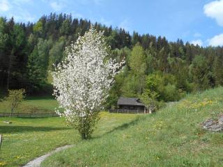 UMUNDUM Hütte - 1