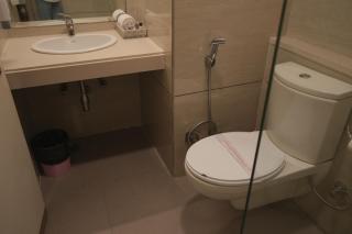 Hotel Rajhans Regent - 6