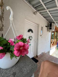 Virág apartman - 0