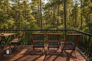 Pinecone Luxury Glamping - 2