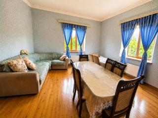Gabala Family Villa - 9