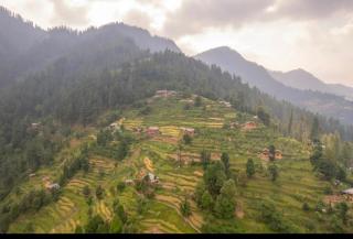 the jibhi nest cottage - 8