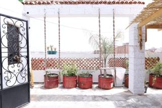 Duplex Premium and Terrace Oasis -Belgaid - 1