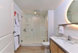 TownePlace Suites by Marriott Asheville Downtown - 5