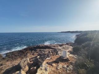 La pineda - 1