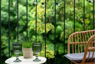Historic Karaimai Street Balcony Apartment, Trakai, Lithuania - Trakai - 4