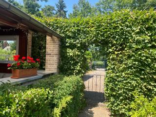 Vakantiehuis De Bosrand Goor-Asbroek - 6