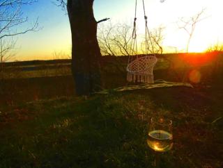 Sundqvistens vinden - 9