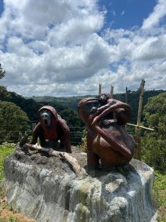 Mirador del Mono Aullador - 9
