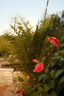 COCO - COliving & COworking Costa Blanca - 7