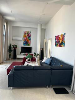 Villeni Panorama Apartment Oktonia - 9