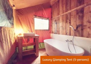Glamping in Nature by Outdoors - 6