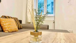 calm, easy access to center, Schönbrunn castle and airport! - 0