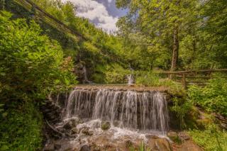 Casa nel Bosco - 3