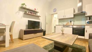calm, easy access to center, Schönbrunn castle and airport! - 8