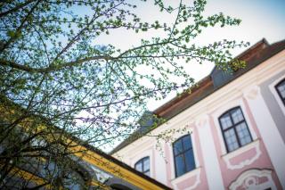 Hotel Schloss Leitheim - Leitheim - 5